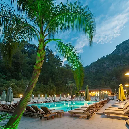 Hotel Julian Forest